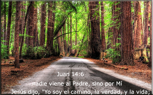 Jesus es el camino